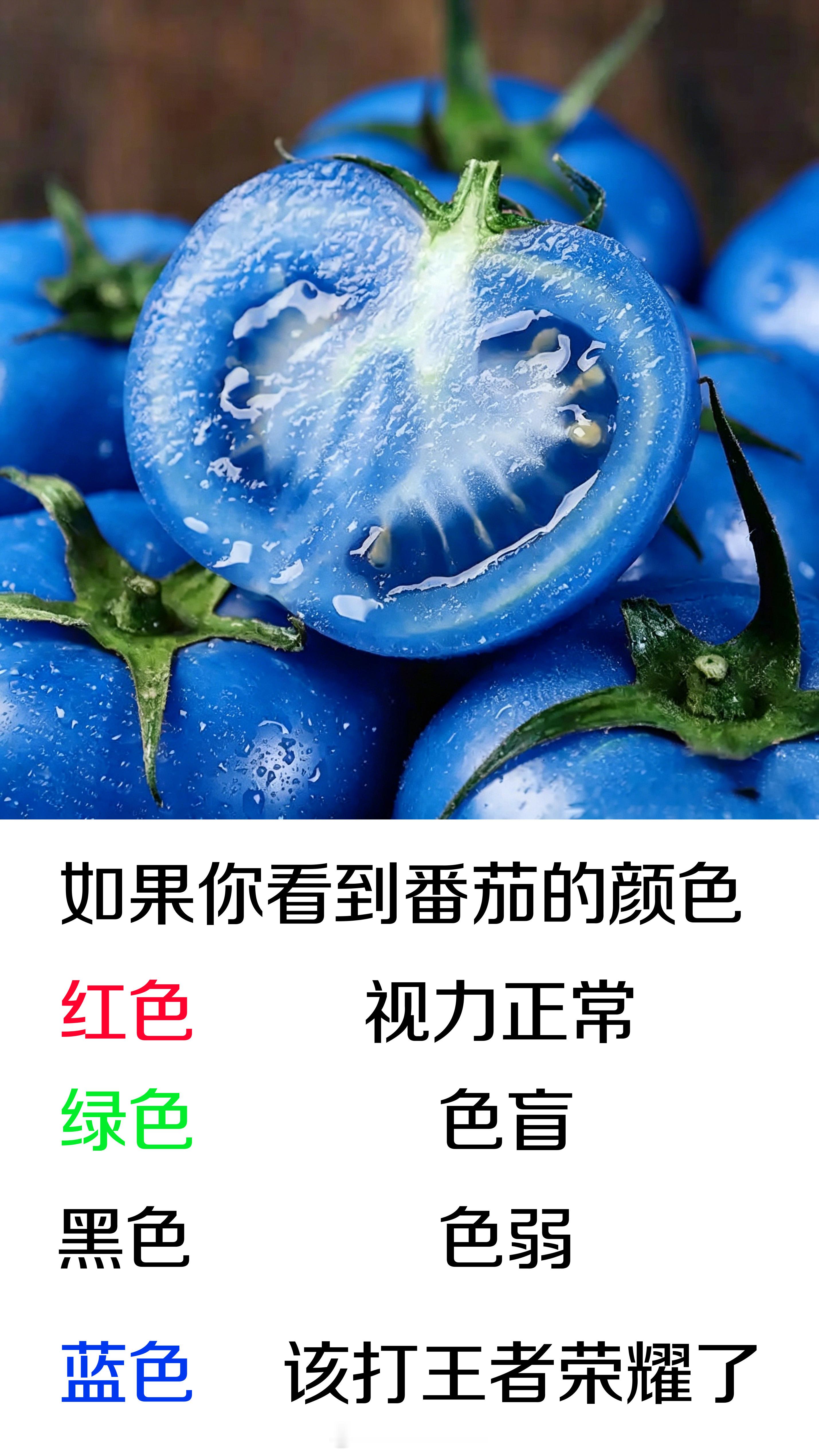 提米，启动！王者荣耀游戏日常