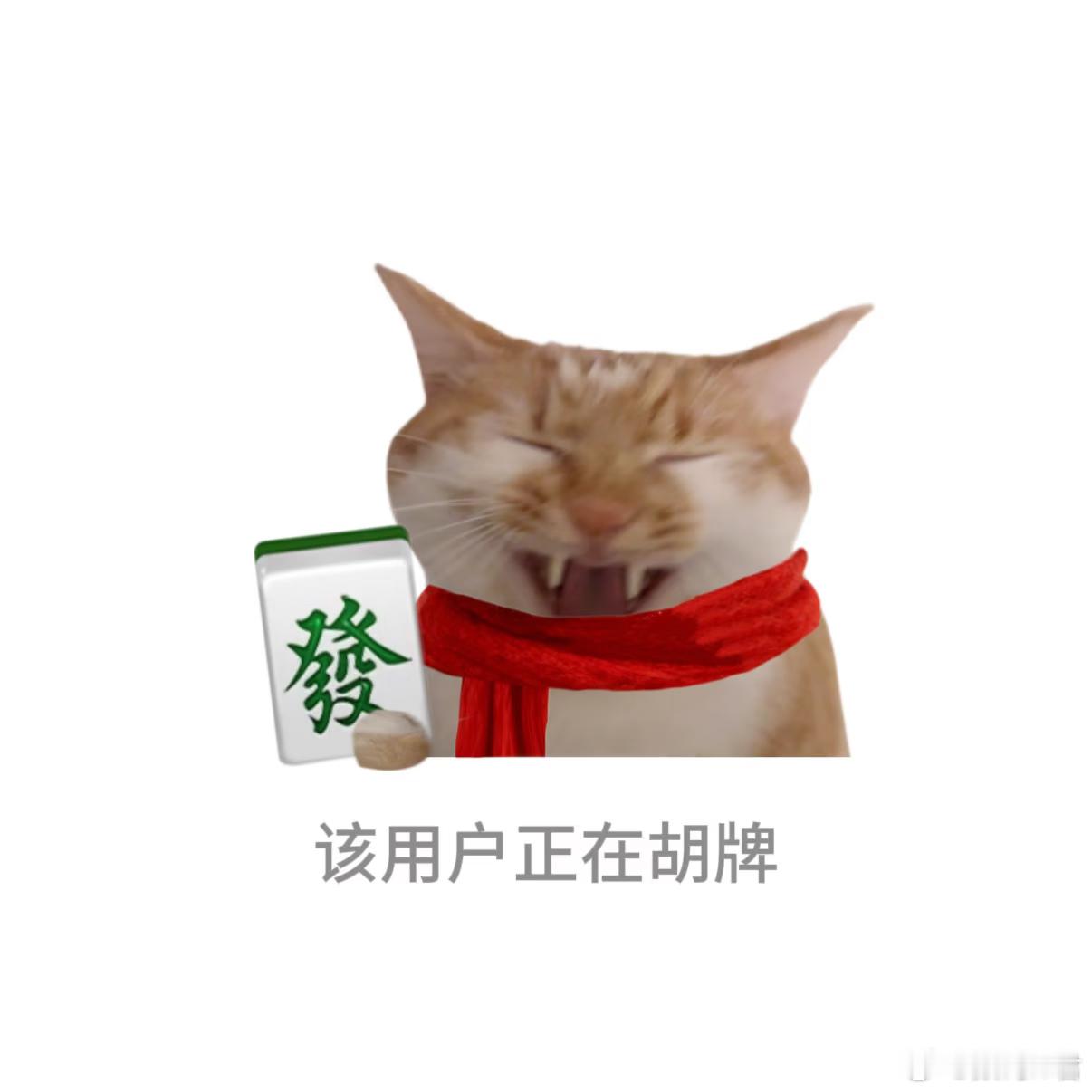 总台声明为啥评论区清一色全是“无人在意”？话说，大家有多久没正儿八经看过春晚了？