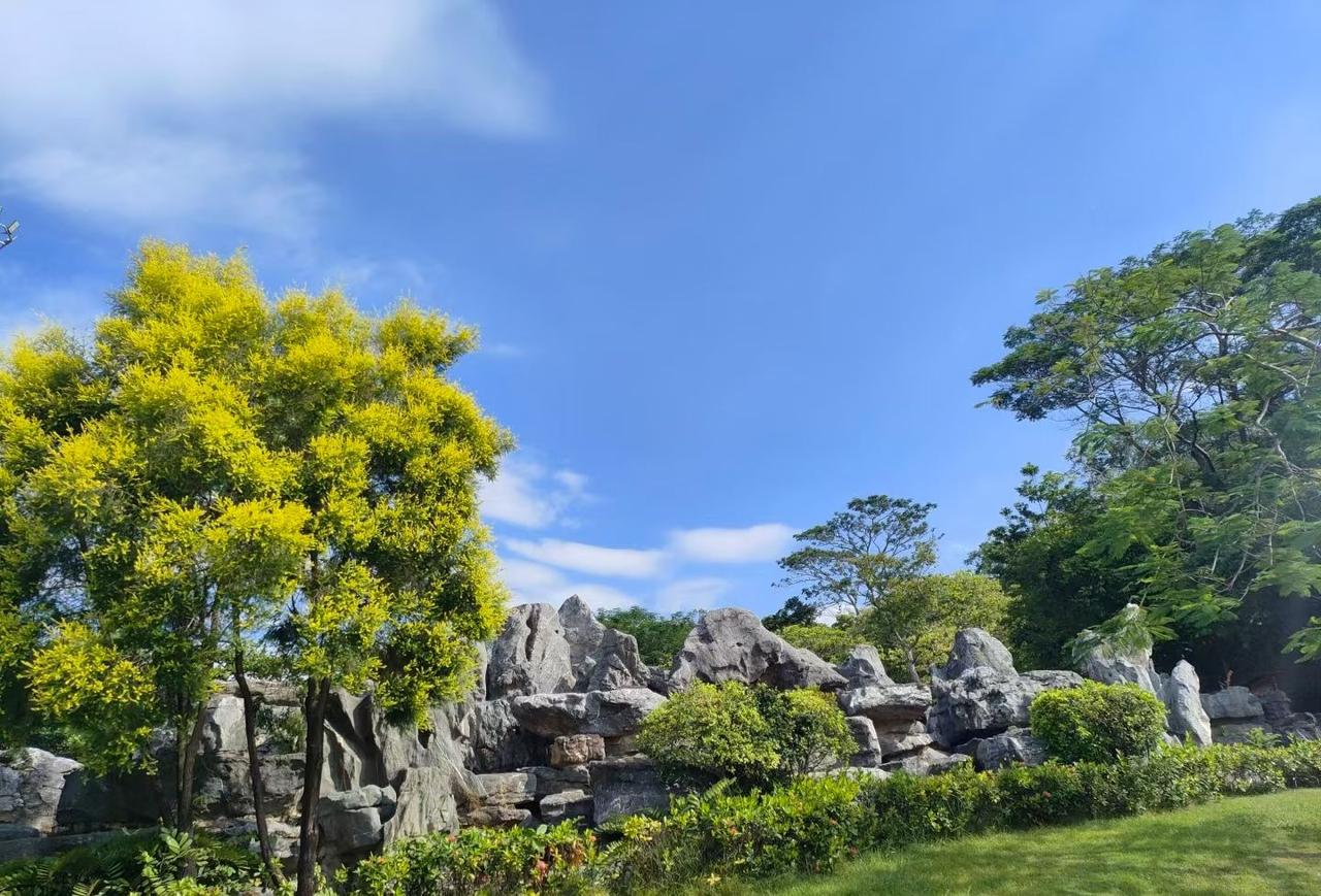 晒出你的本地生活周末去松岗麒麟山公园玩，蓝天白云，树木成林，鲜花盛开，还有好多健