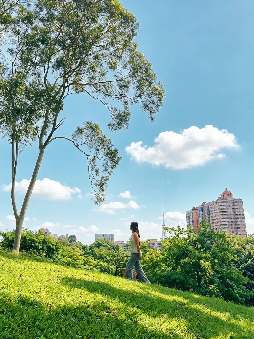 广州麓湖｜果然广州好看的地方都是免费的