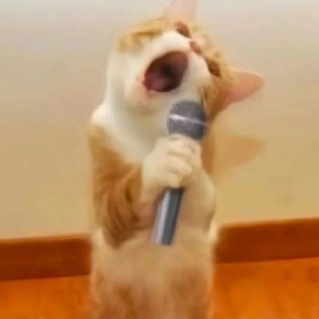 我恨人民币高悬，为何独不照我~ 