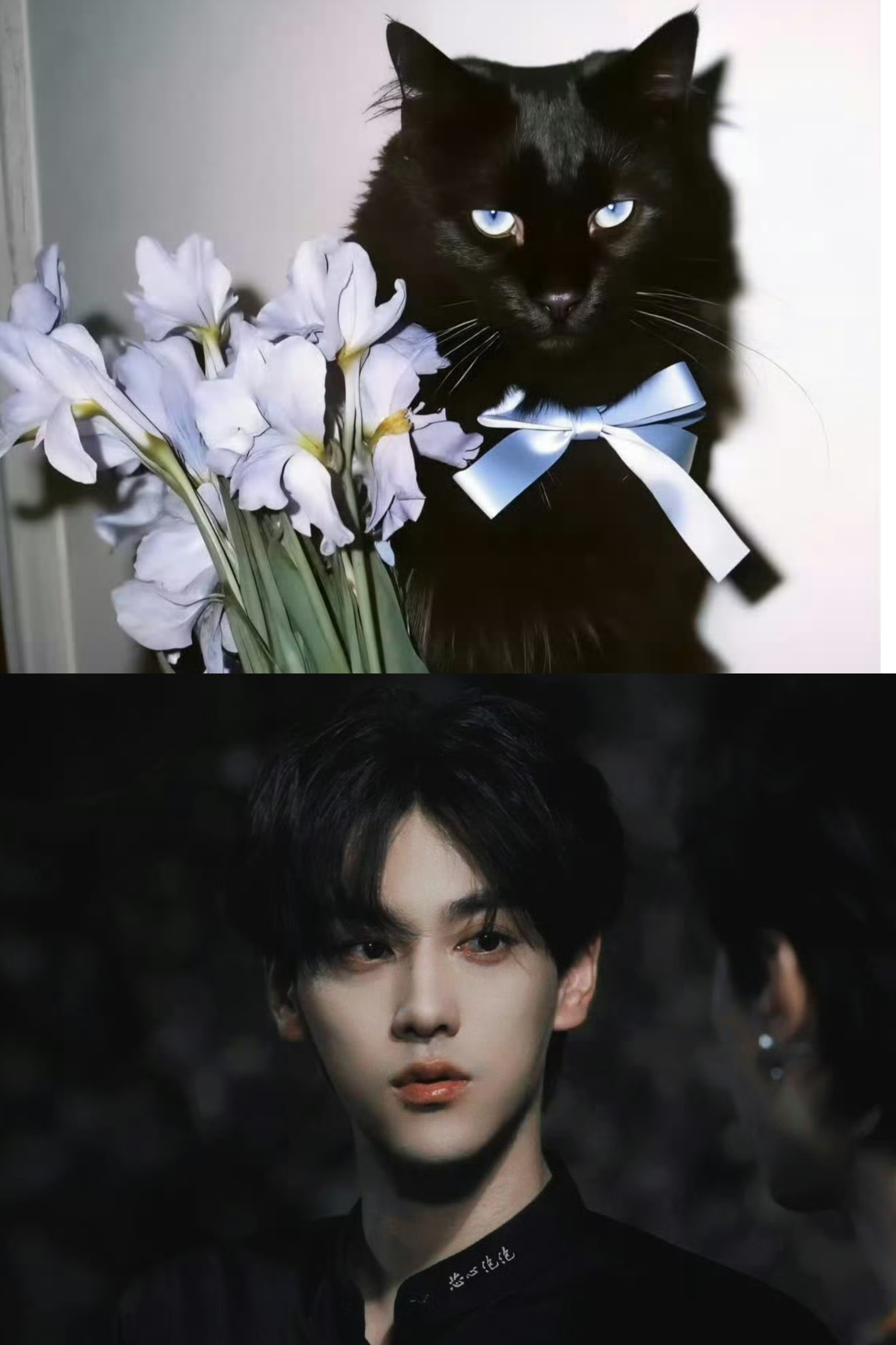 田栩宁猫猫塑第一个想出给田栩宁猫塑的人是天才吧思考零秒选择加入这个权威的联盟🐱