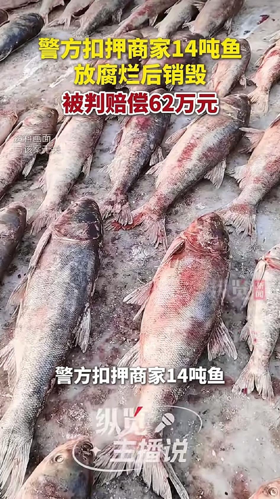 2012年12月到2013年1月，赵某从长春某市场购进14吨胖头鱼，运到松原冷库