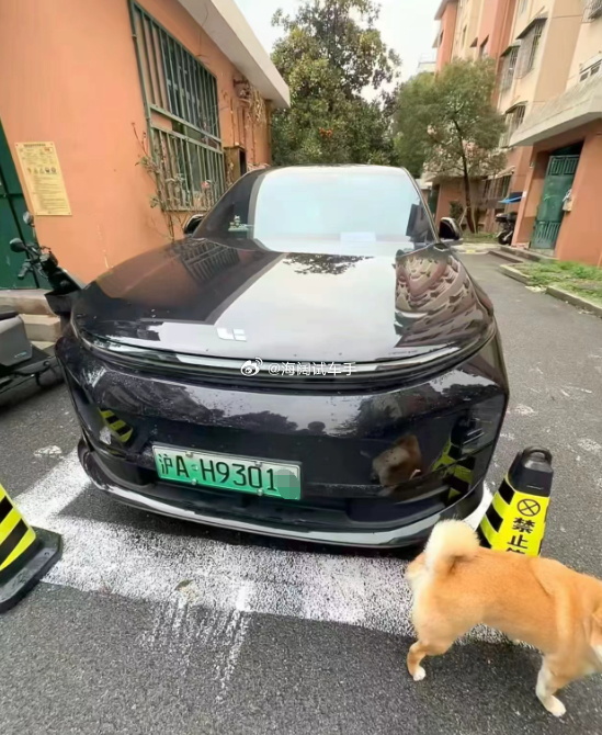 物业为什么发警告信？？？ 海阔试车超话