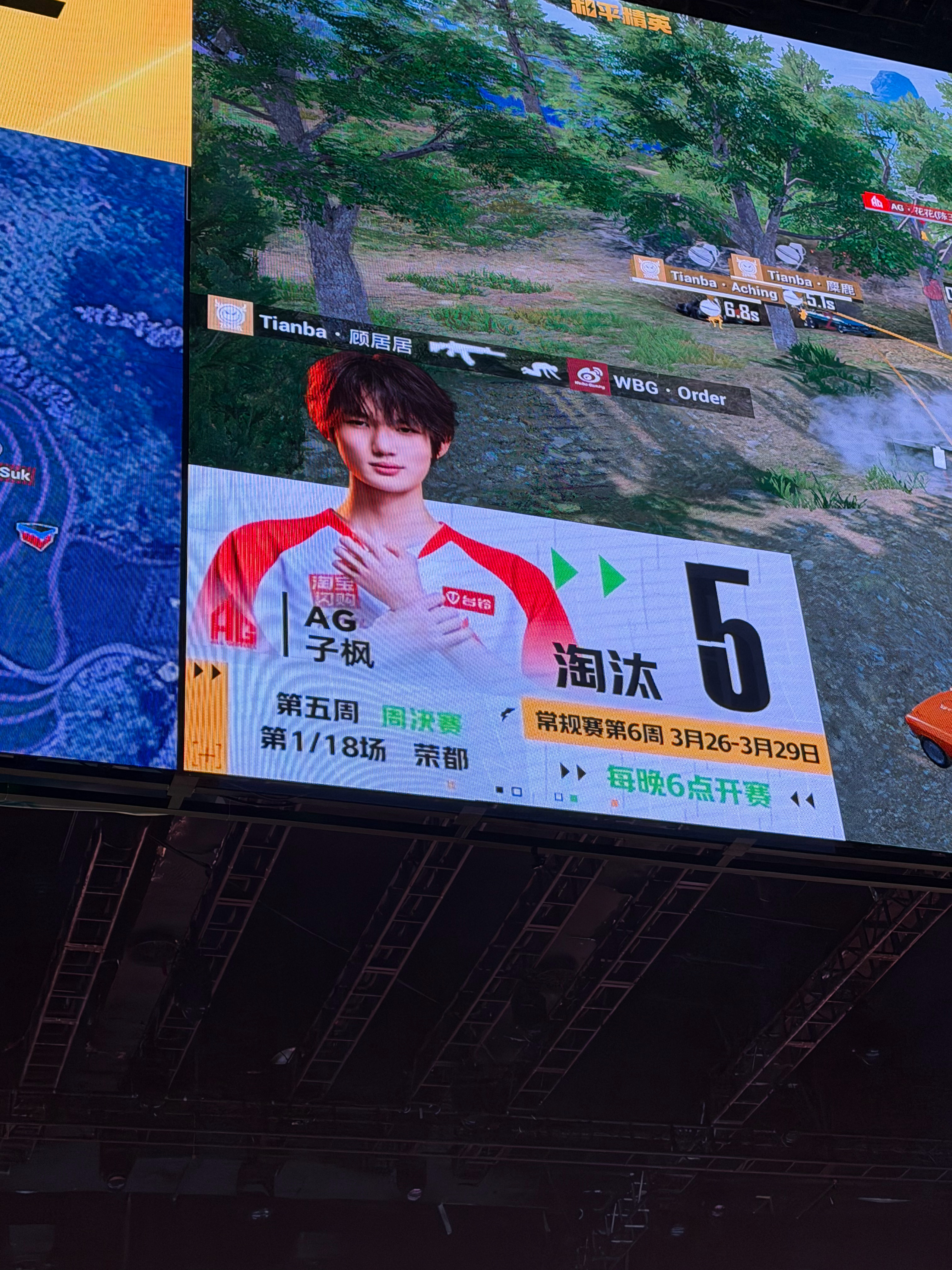 子枫的枫树林  小子枫疯狂撕咬pel春季赛第五周周决赛2026pel春季赛