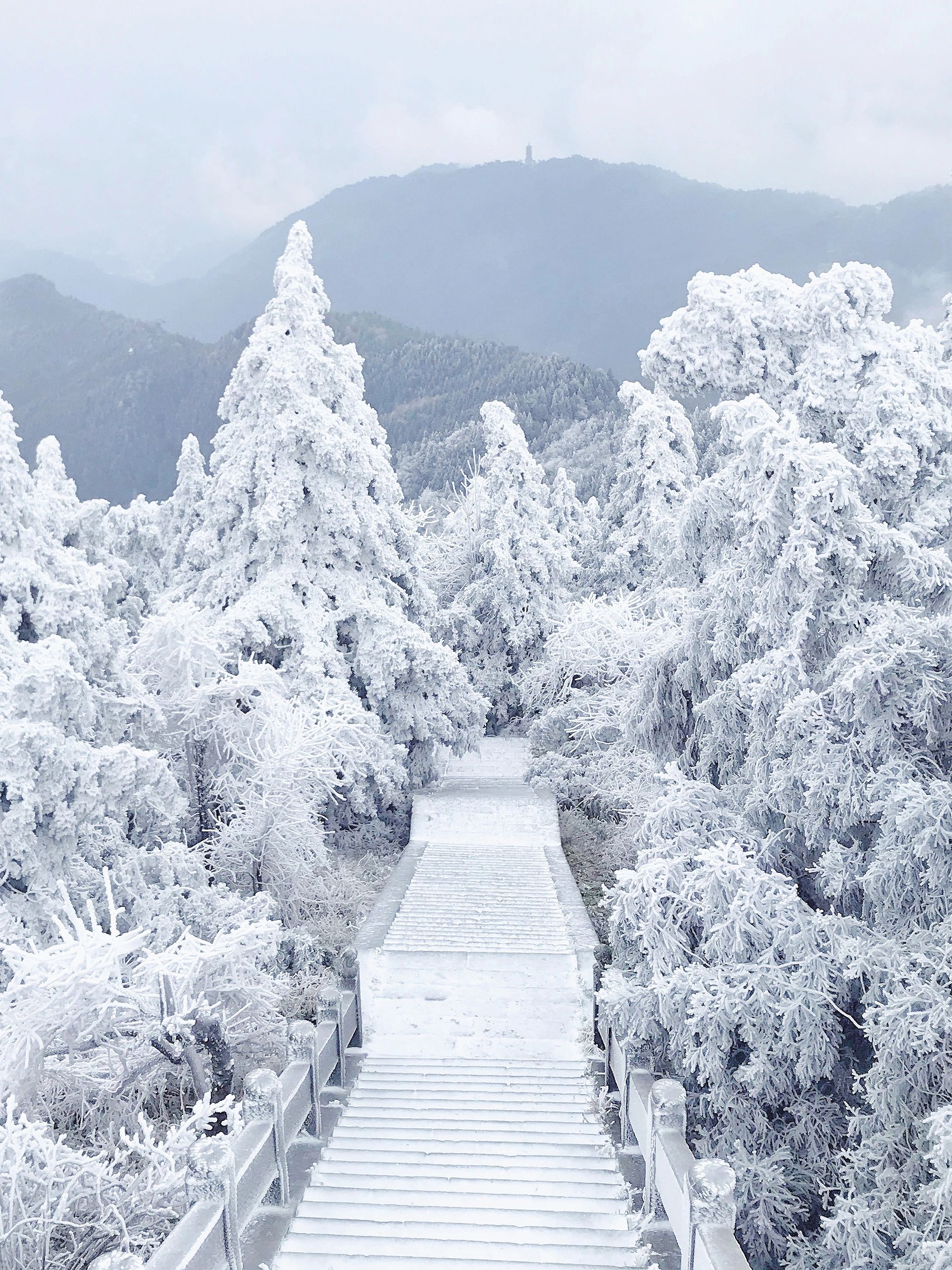 下周多地下雪！广深周边z近1⃣0⃣大看雪地