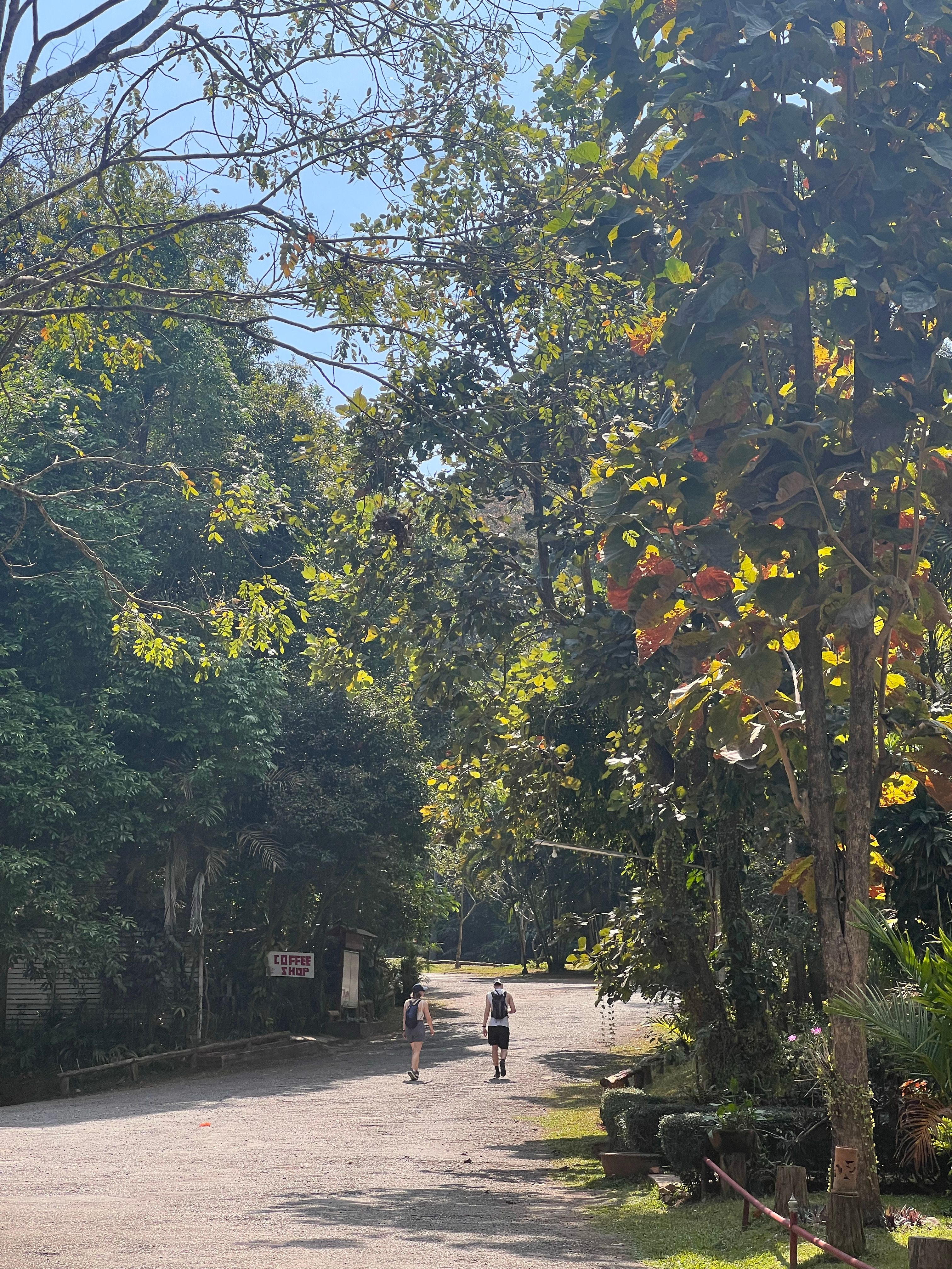 素贴山徒步还是很爽的 