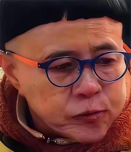 如果要说谁最执着
刘纯燕若排第二，就没有人敢称第一
这锅盖头真的是我从小看到老的