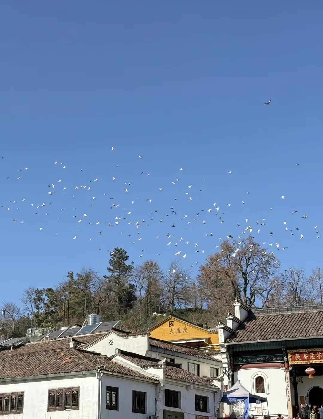 丙午年最折寿的事：吃得太多，买得太多，消耗得太多！切记，减衣增福，减食增寿，你的