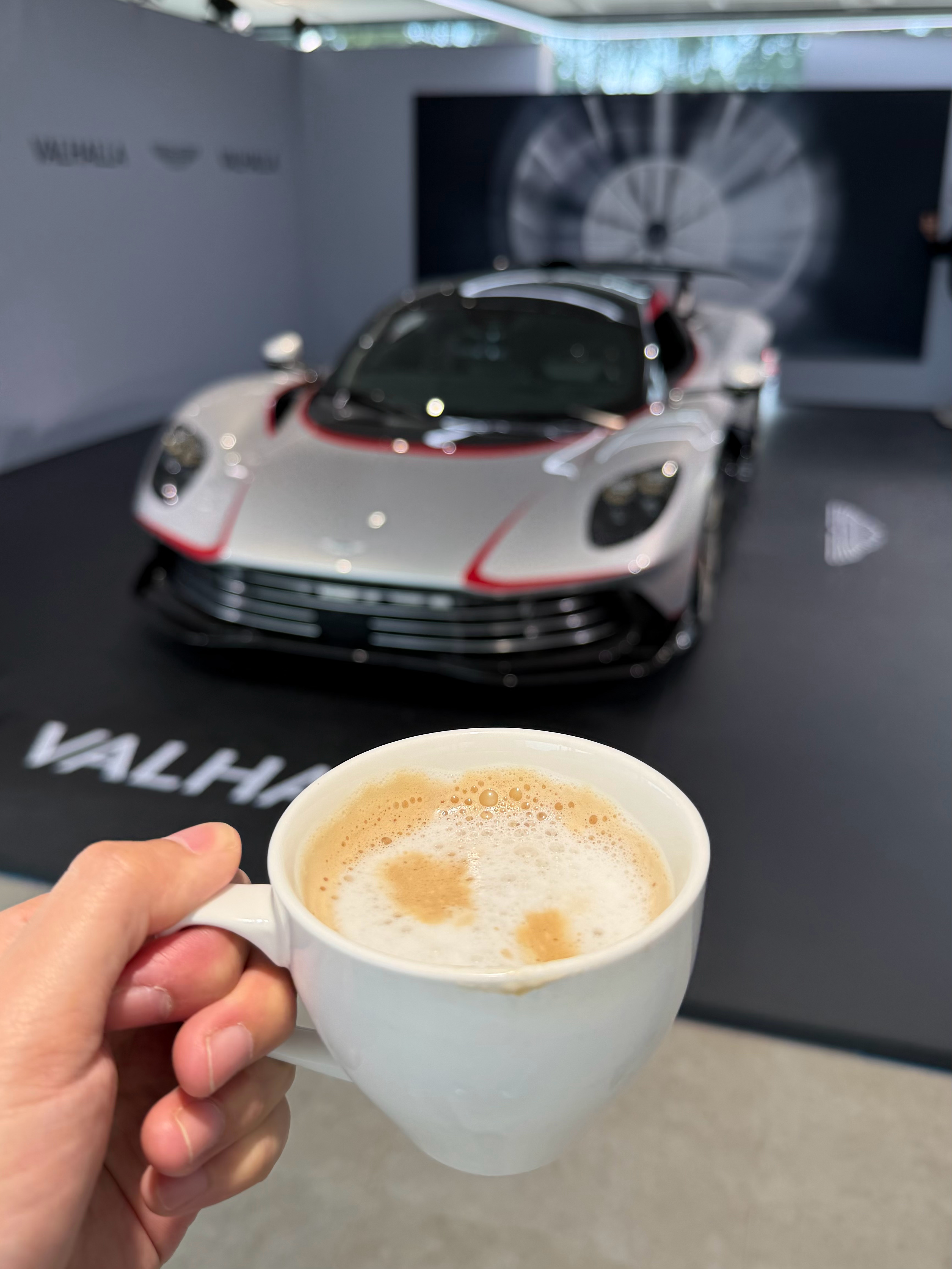 早今天是真的带着帮朋友买车的任务来的，Valhalla确实很棒，但大家知道我在担