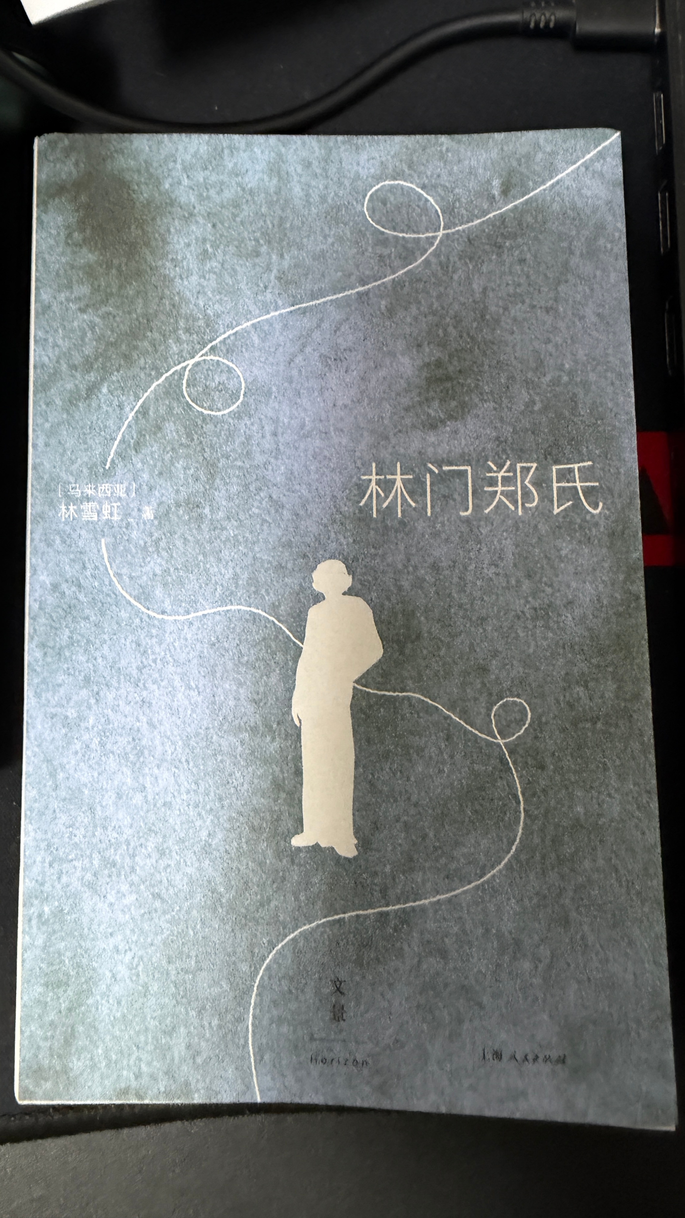 《林门郑氏》——无法获得阅读“快感”的一本书。我感觉我必须轻拿轻放，因为一不小心