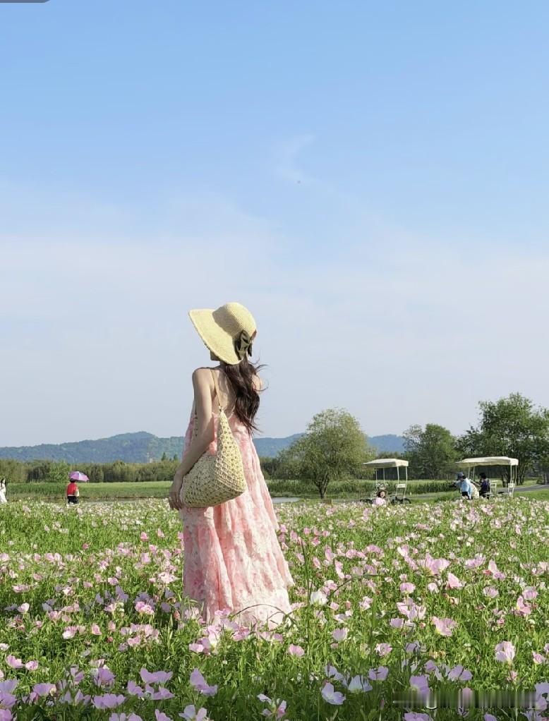 近日，杭州一位26岁的女教师(重庆人)很迷茫。

她男友家是杭州的，父母开公司的
