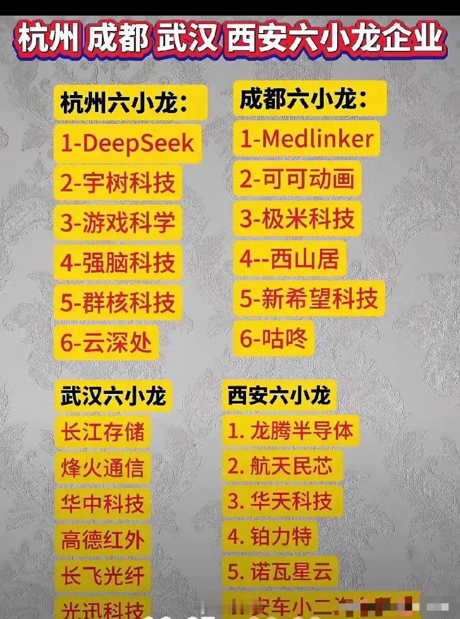 经常听说杭州六小龙，一直不知道是哪六家，现在搞清楚了，deepseek、宇树科技