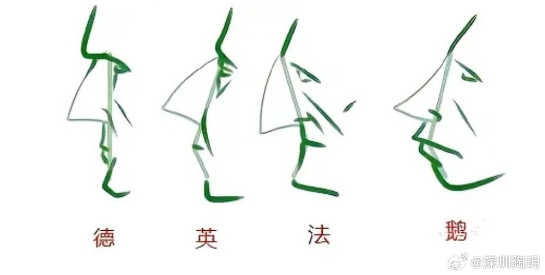 欧洲人种探究，教你区分欧洲人种。[并不简单]  