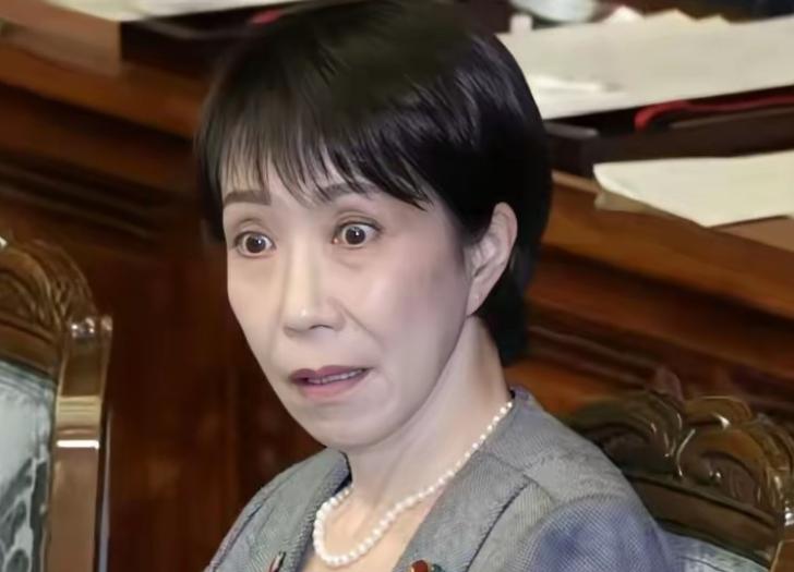 “挨打没够”的高市早苗终于明白了一件事。

2 月 25 日，在日本参院全体会议