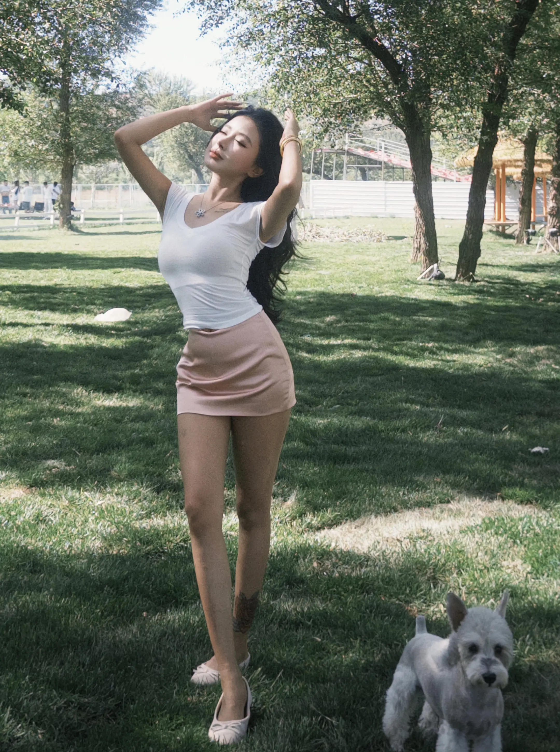 努力的目的不是为了鹤立鸡群 而是为了离开鸡群 📷