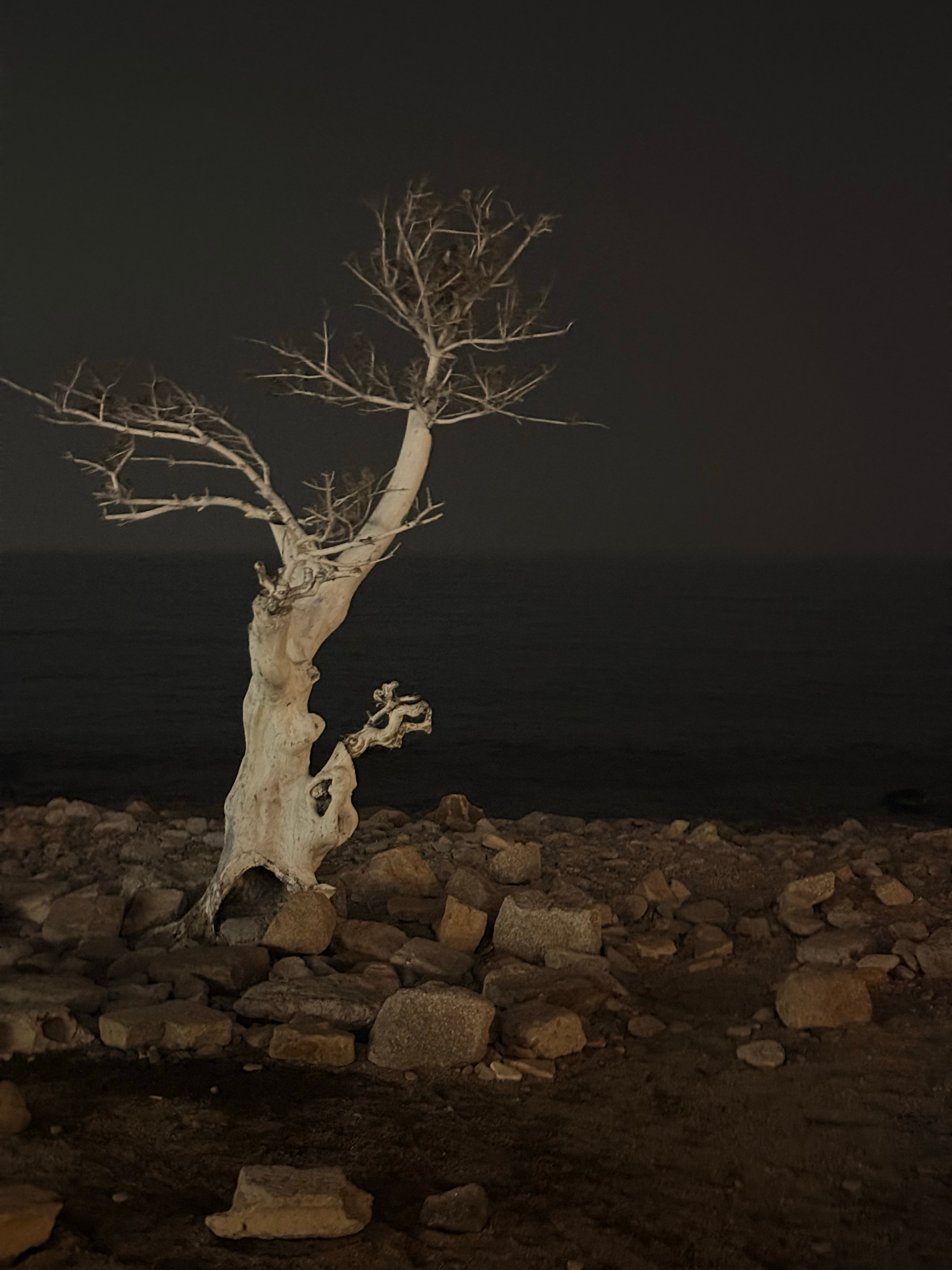 双休可以是一周的任意两天 大家都在过周末，只有自己苦哈哈的上班这感觉真的好么不过