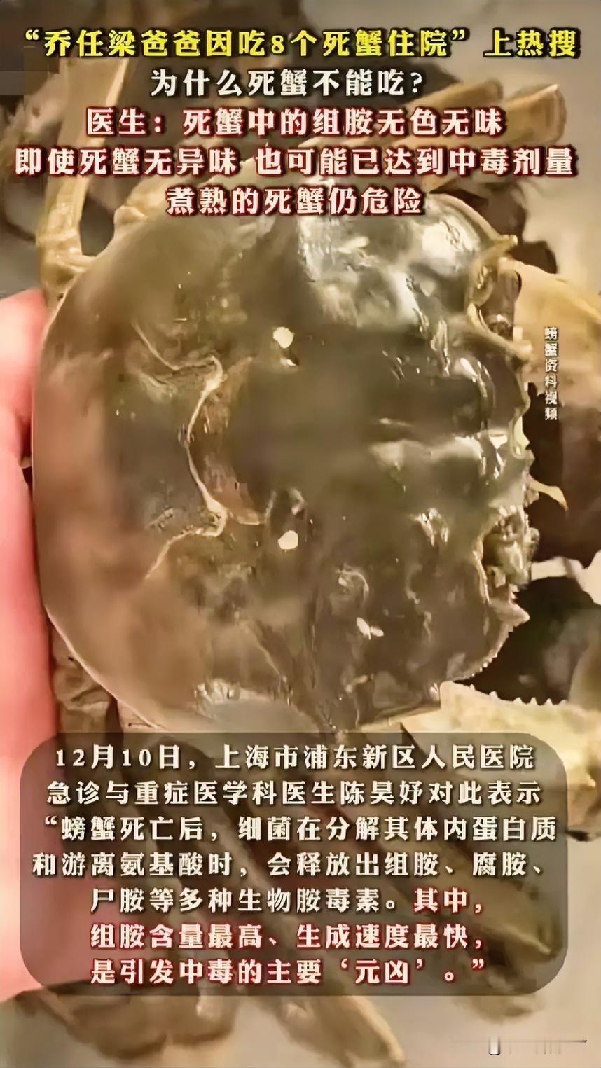 死蟹再香也别碰！吃一次可能进医院，新鲜才是海鲜的生命线！

看到乔任梁爸爸因吃8