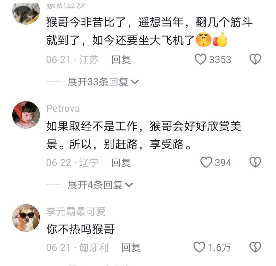 起猛了大圣度假去了 