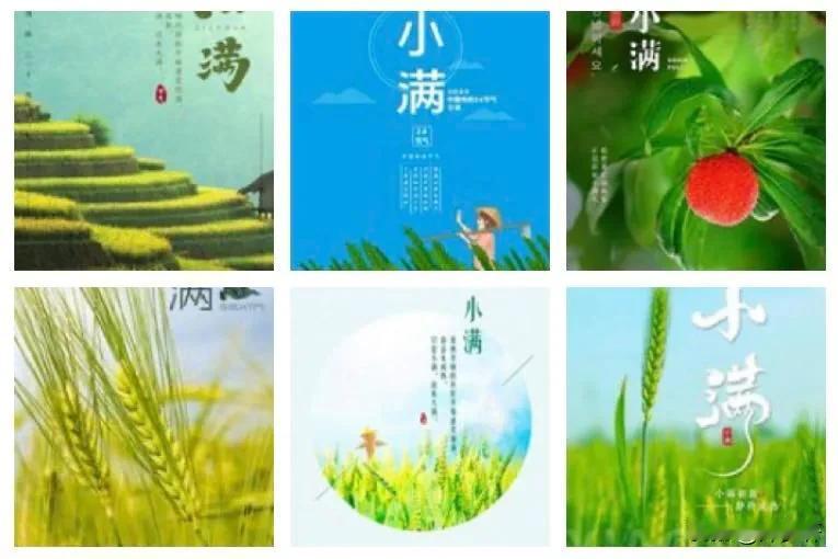 【卜算子·小满】
文/风鸽（张晓峰）
一
灿烂夏花开，别样新风景。
小满盈盈不厌