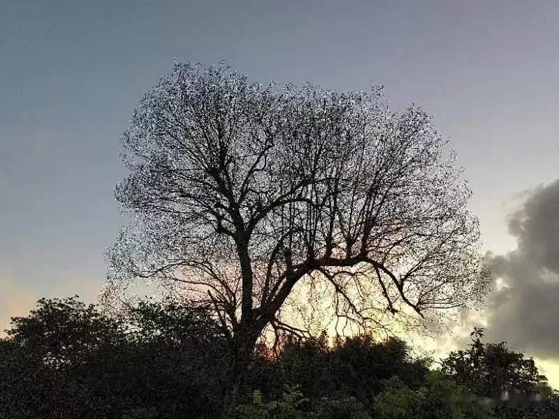 愚公，智叟喊你快快自首……

近日，洮南市村民黄某花13万私自建桥被抓判刑的事引