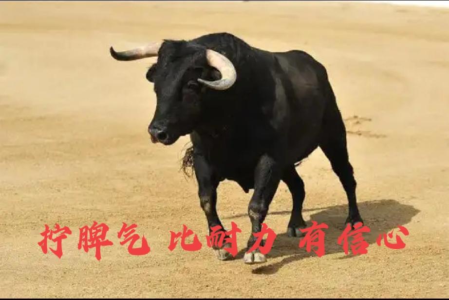 股票投资你买的是什么？
1、买的是信心_对打造金融强国充满信心！股市为经济引擎。