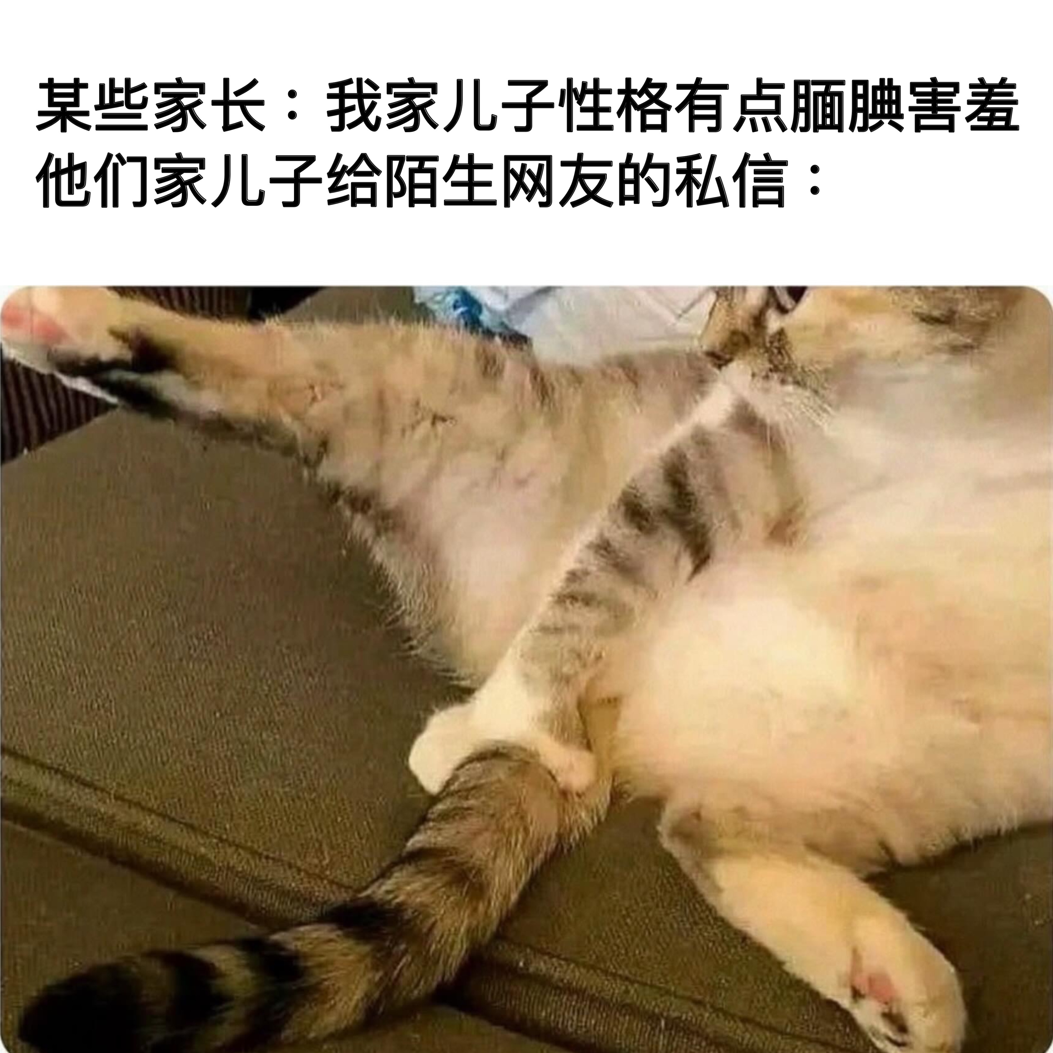 需要鼓励memes