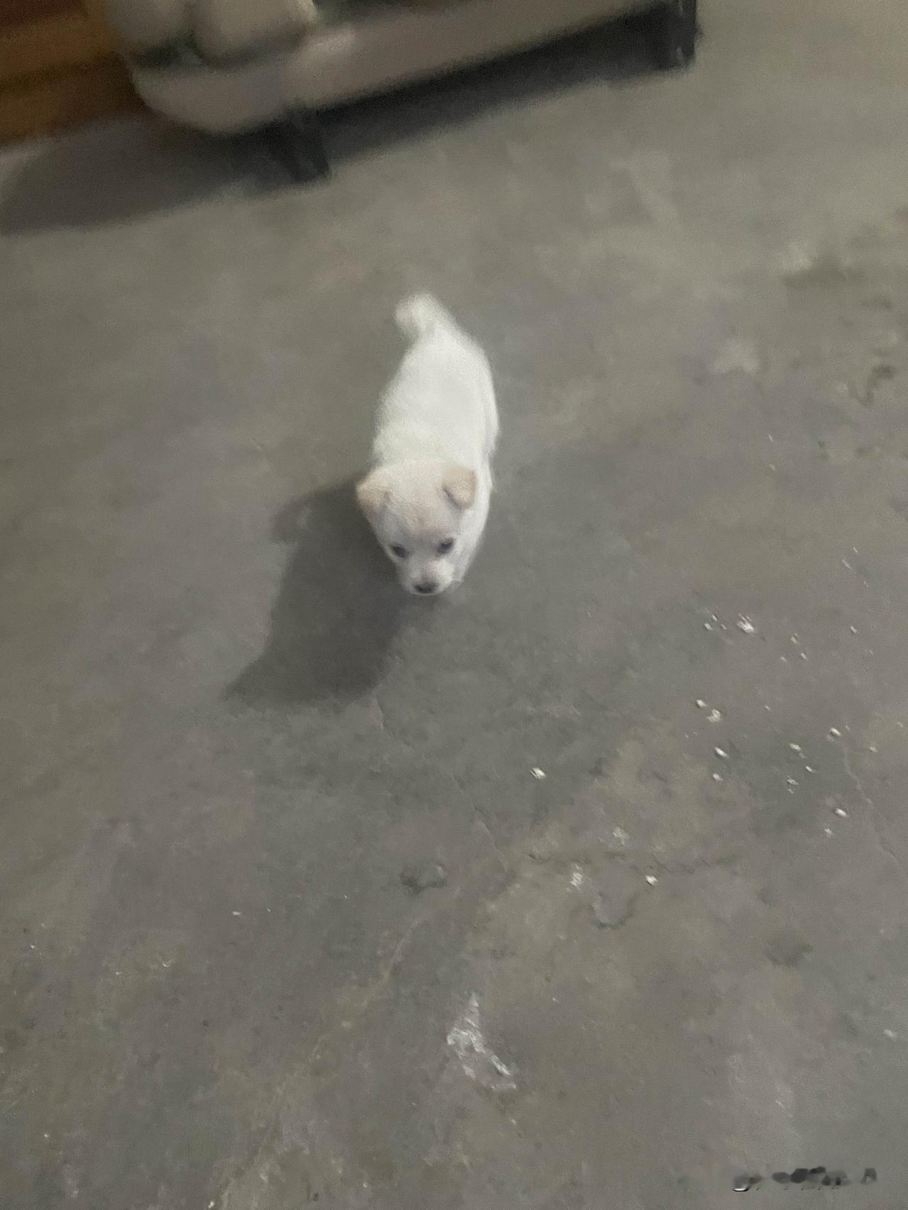 • 文化、文明、洗脑、认知。

• 什么叫文化？文化就是一堆人告诉你屎有一百种吃