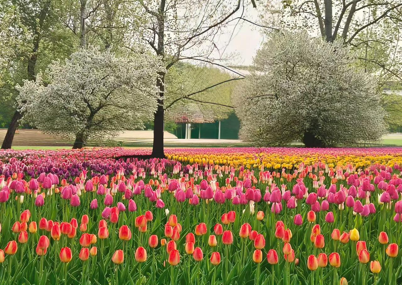 春日生活打卡季