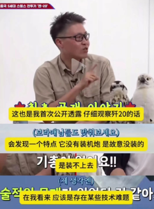 歼20遇重大难题？韩国专家称没装机炮，且暴露缺陷！“你要是仔细观察歼20的话，会