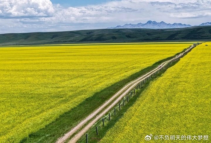 早安 人生没有白走的路，每一步都算数。那些你以为跨不过的山，回头看，不过是人生的