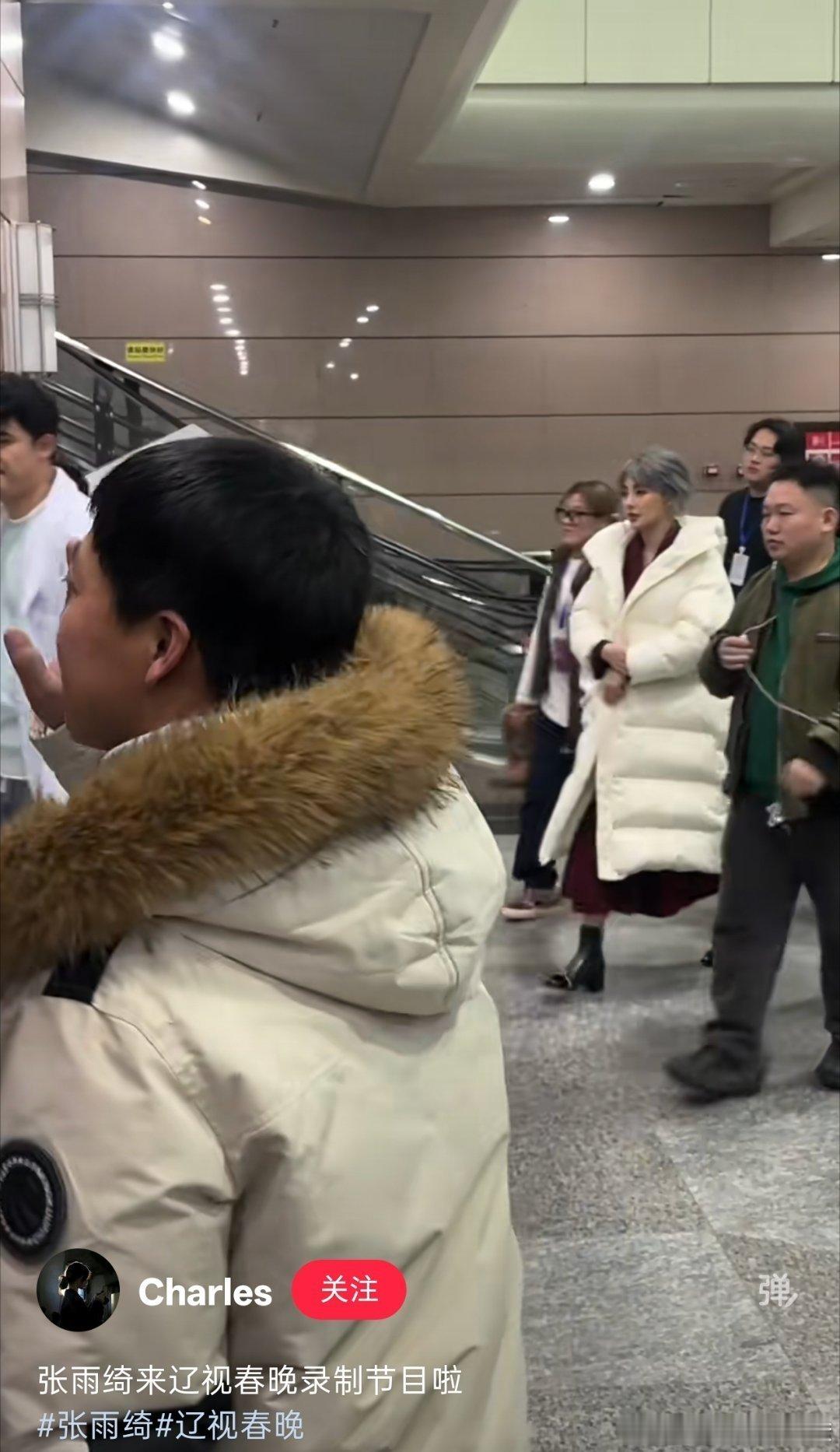 张雨绮 辽视春晚 辽视春晚赢麻了！张雨绮于适疑似同台，强强跨界氛围感拉满，女王配
