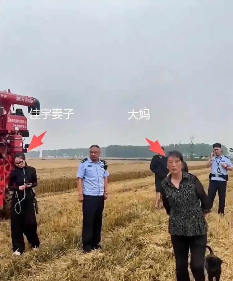 最近襄阳麦收的“割四赔五”事件，真的越看越气，越想越寒心！

真会把人气出心病，