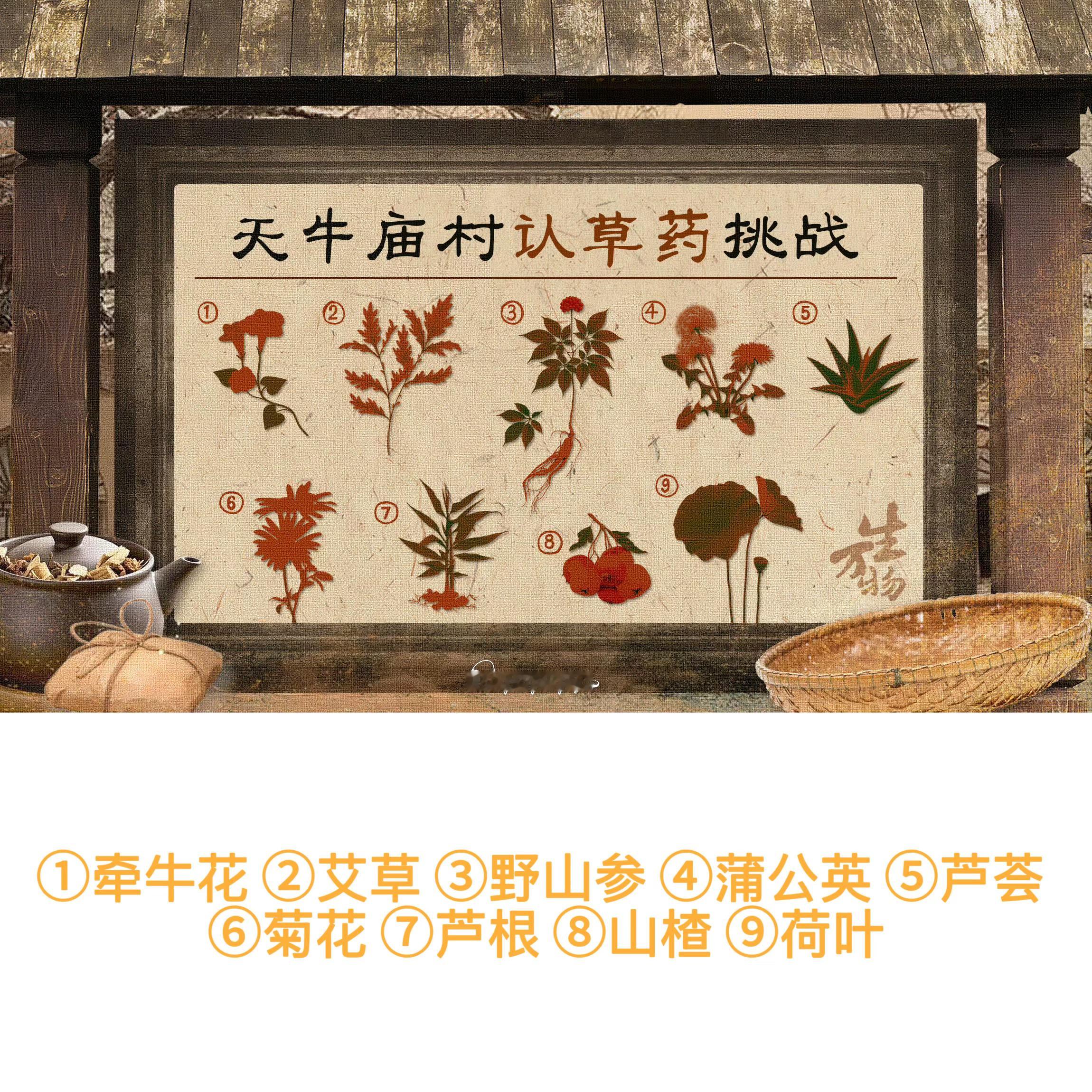 杨幂[超话]宁绣绣的土地小札挑战一下草药辨认[努力]①牵牛花 ②艾草 ③野山参 