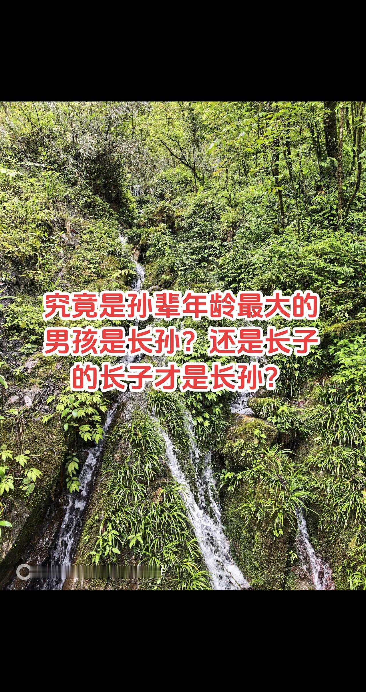 究竟是孙辈年龄最大的男孩是长孙？还是长子的长子才是长孙？