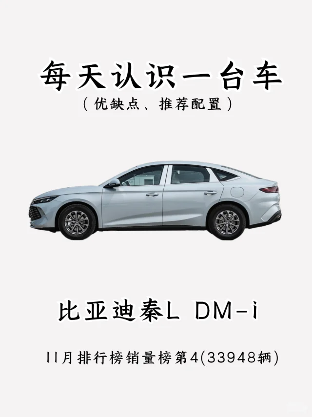 看完你还会买比亚迪秦L DMI吗