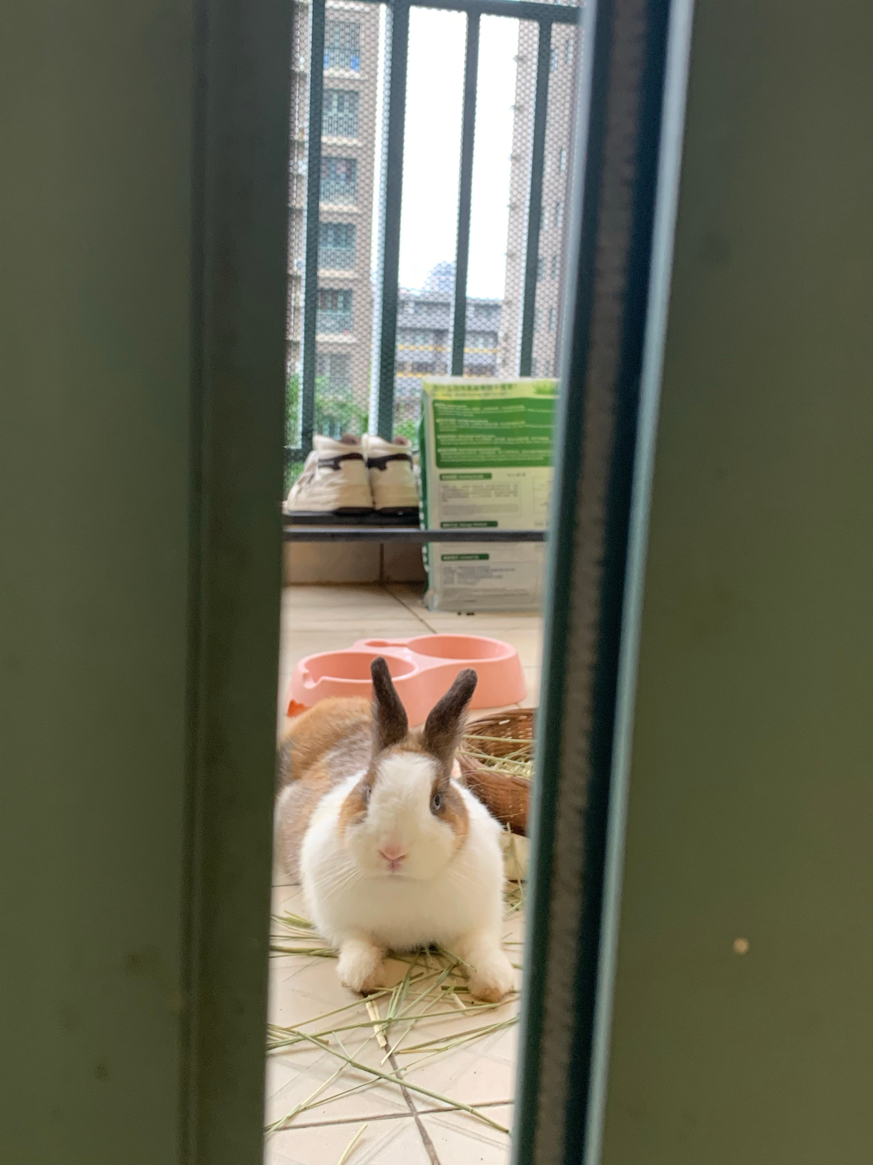 来吧宝贝们我们一起去探险 