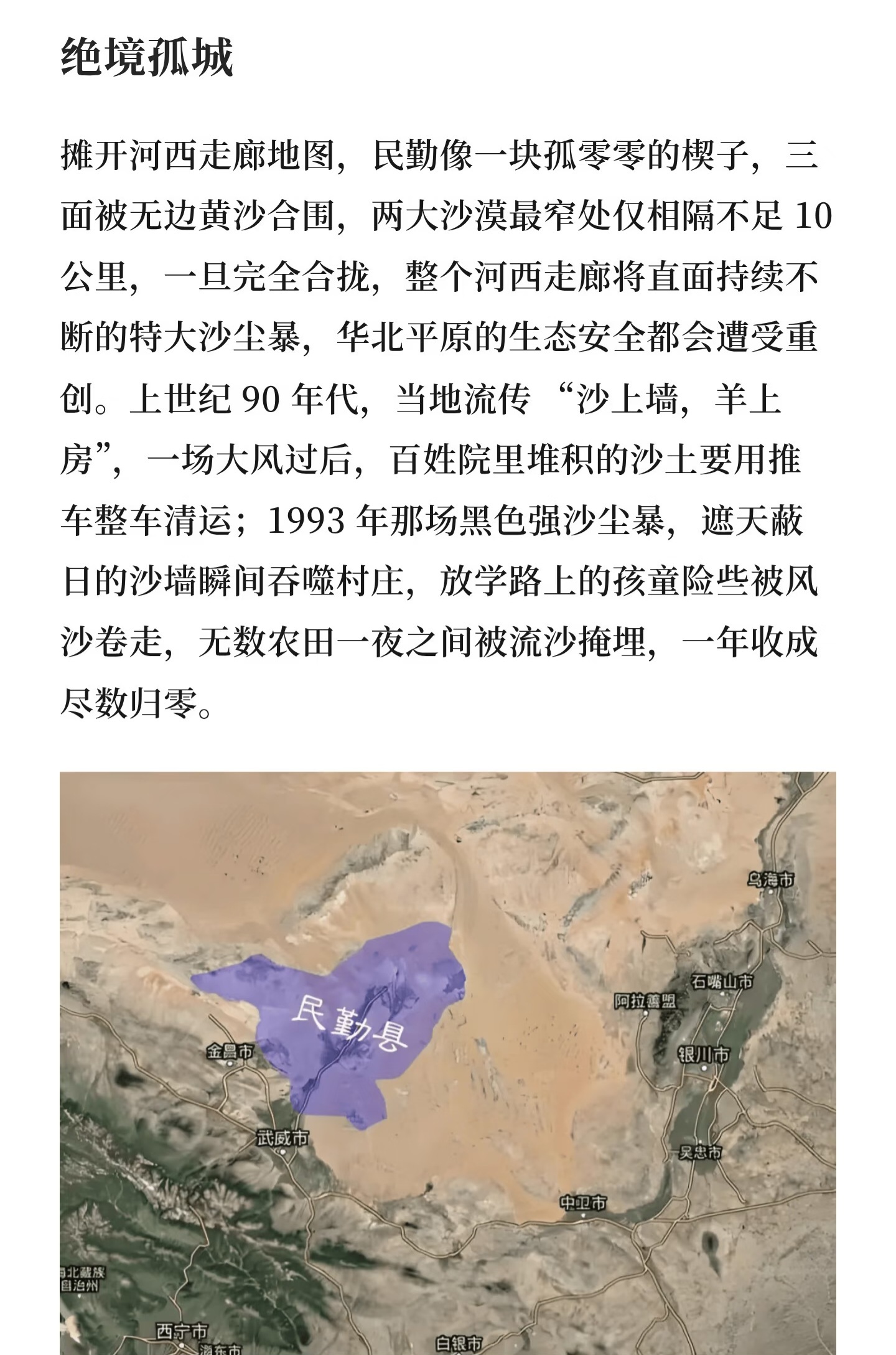 等我有一天实地看到这棵树，证明我去旅游了去年的0824专属小森林种在了甘肃武威民