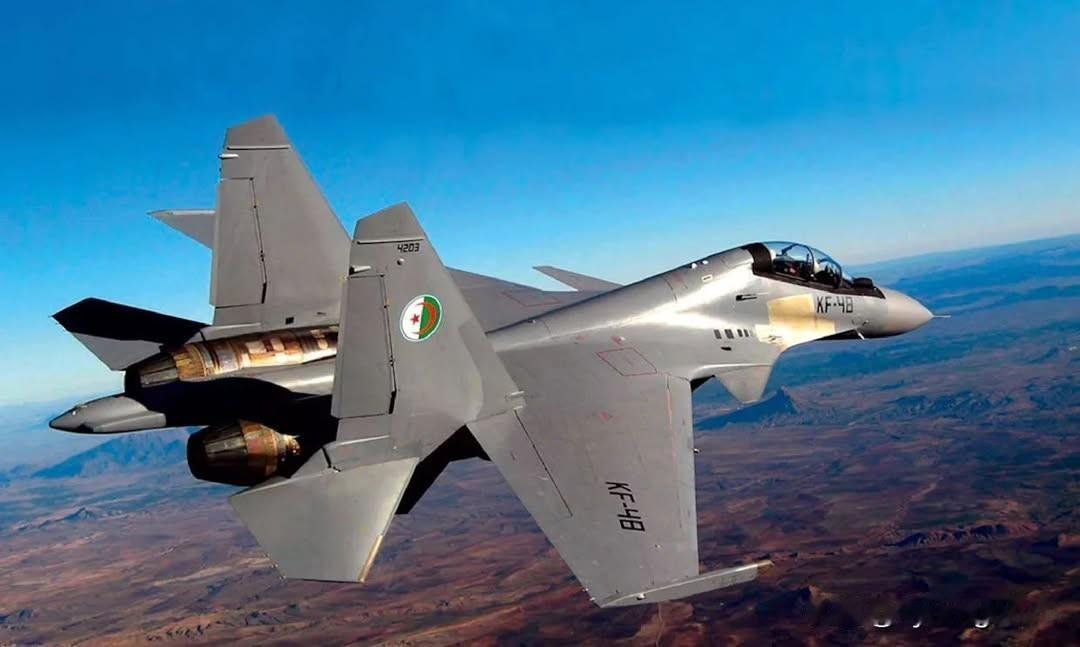 🇩🇿阿尔及利亚空军的苏-30MKA多用途战斗机（KF-48）。