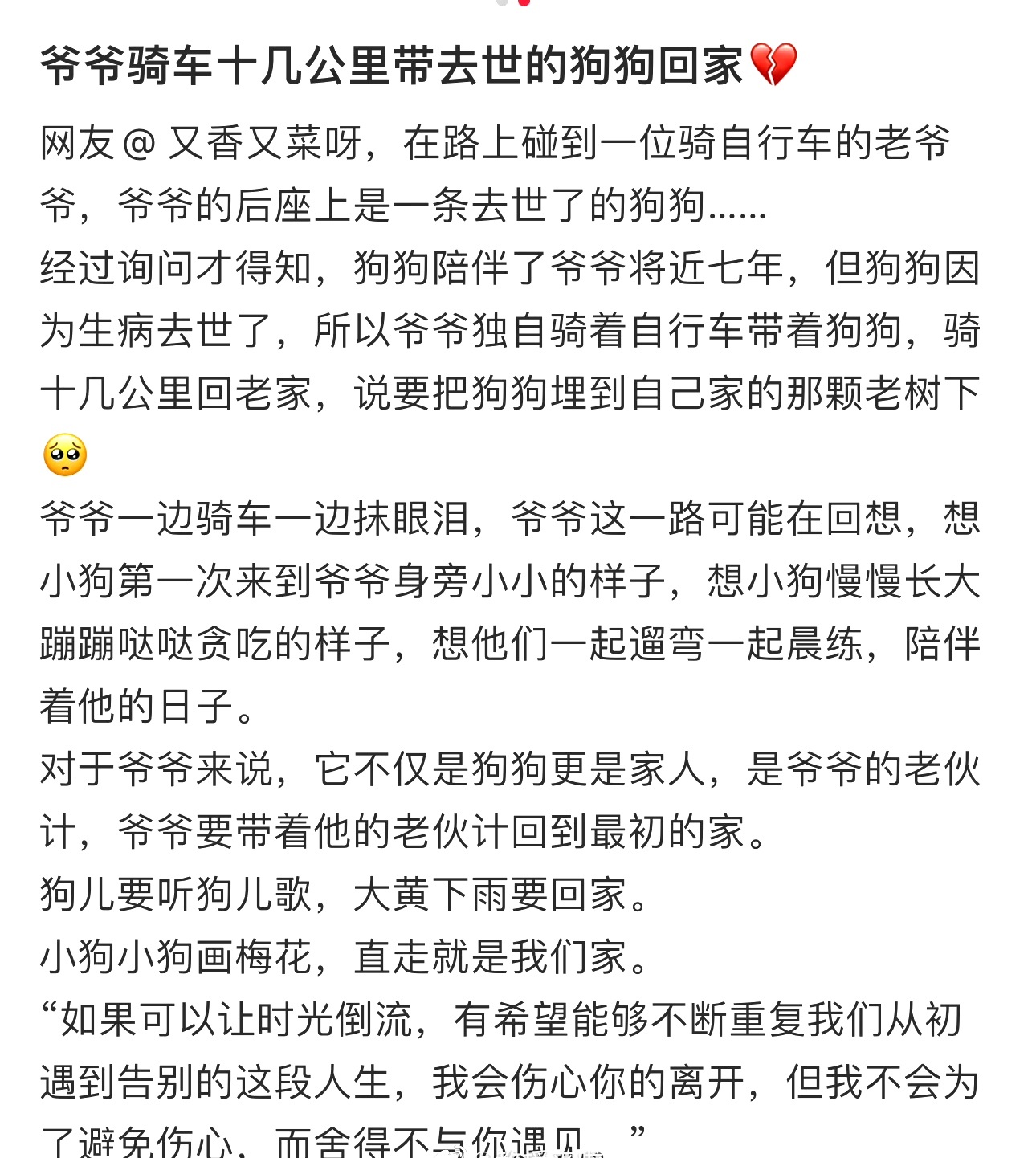 爷爷骑车十几公里，带去世的狗狗回家 ​​​