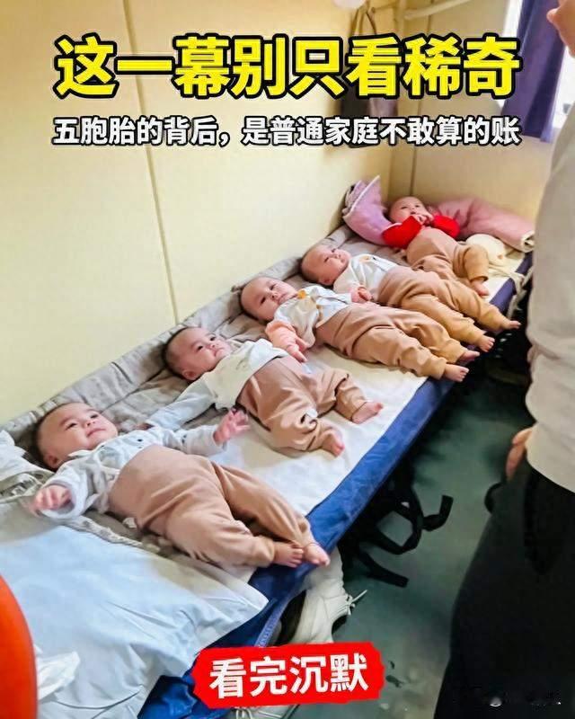 一天40罐奶粉，爸爸暴瘦22斤：六千万分之一的五胞胎，回家了