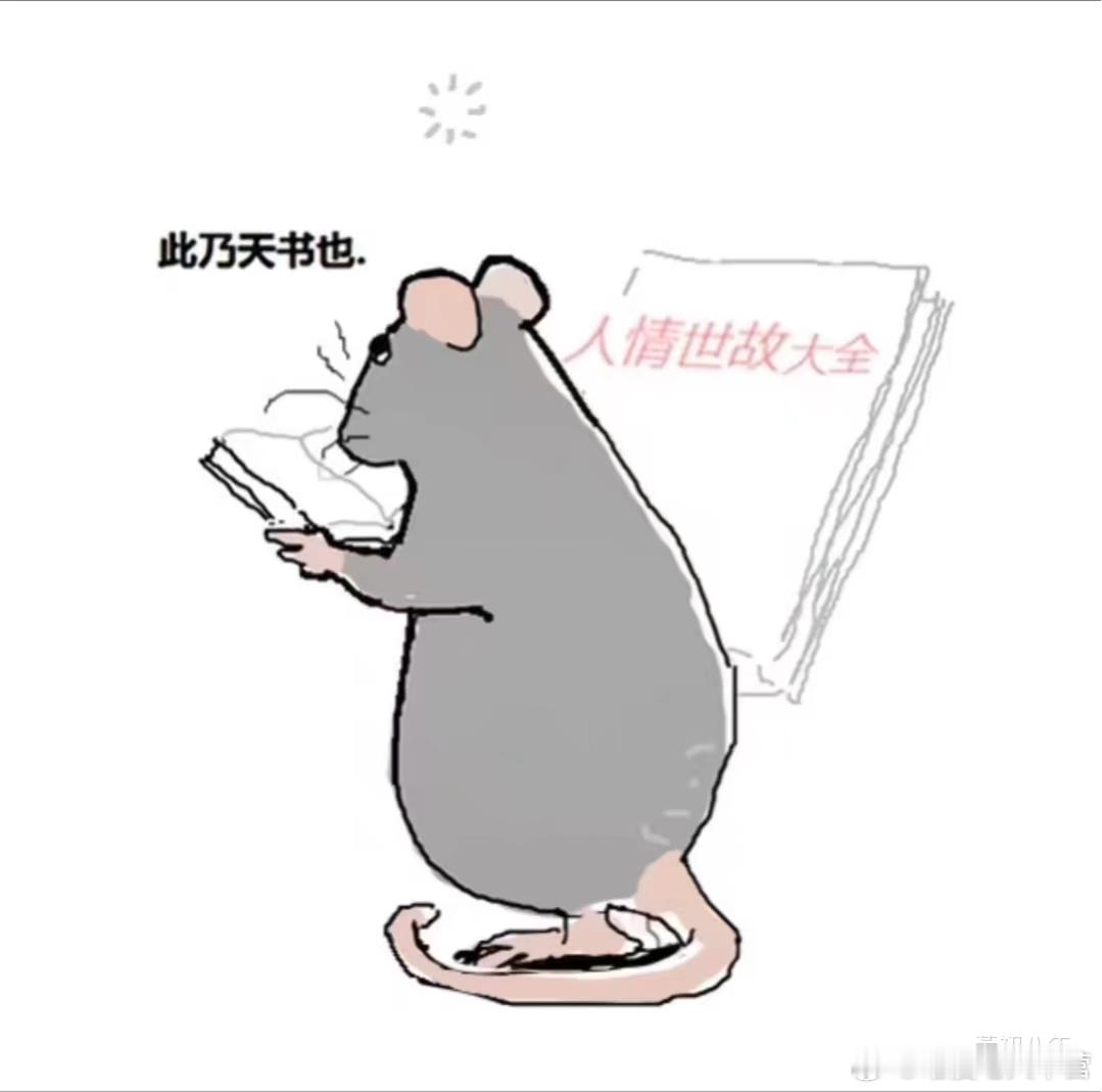 我每天 