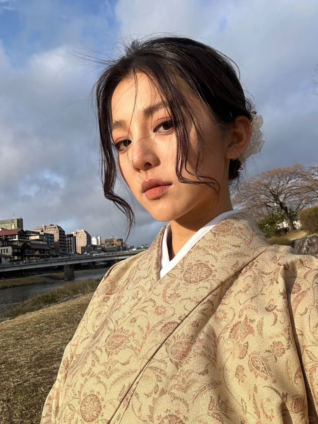 kyoto daily