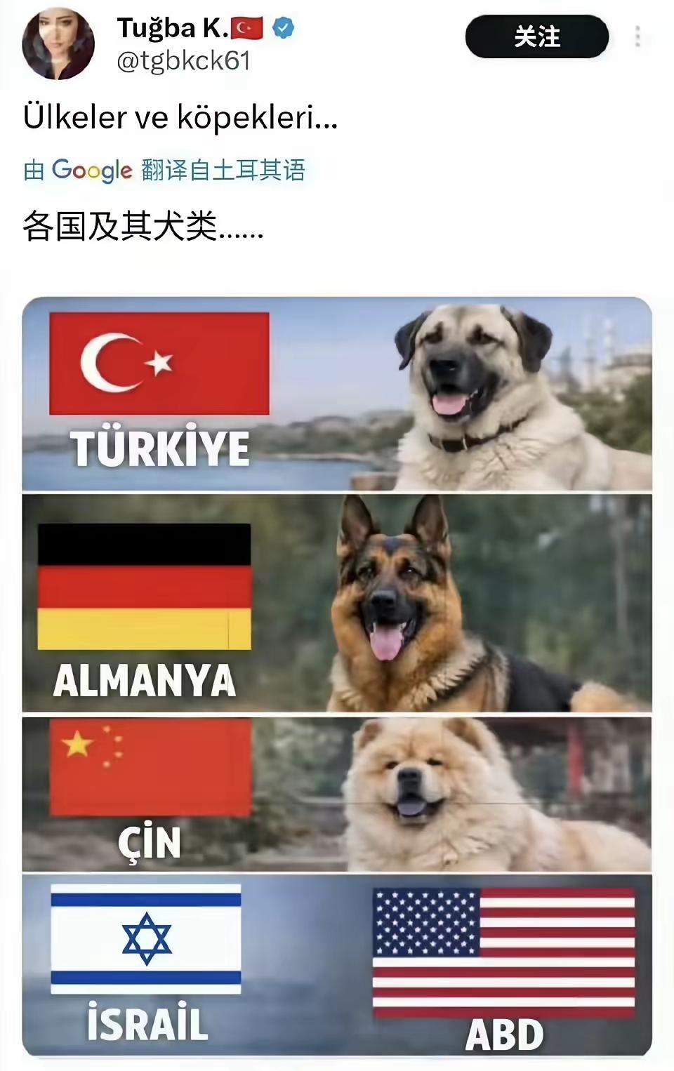 不错不错[捂脸][捂脸][捂脸]