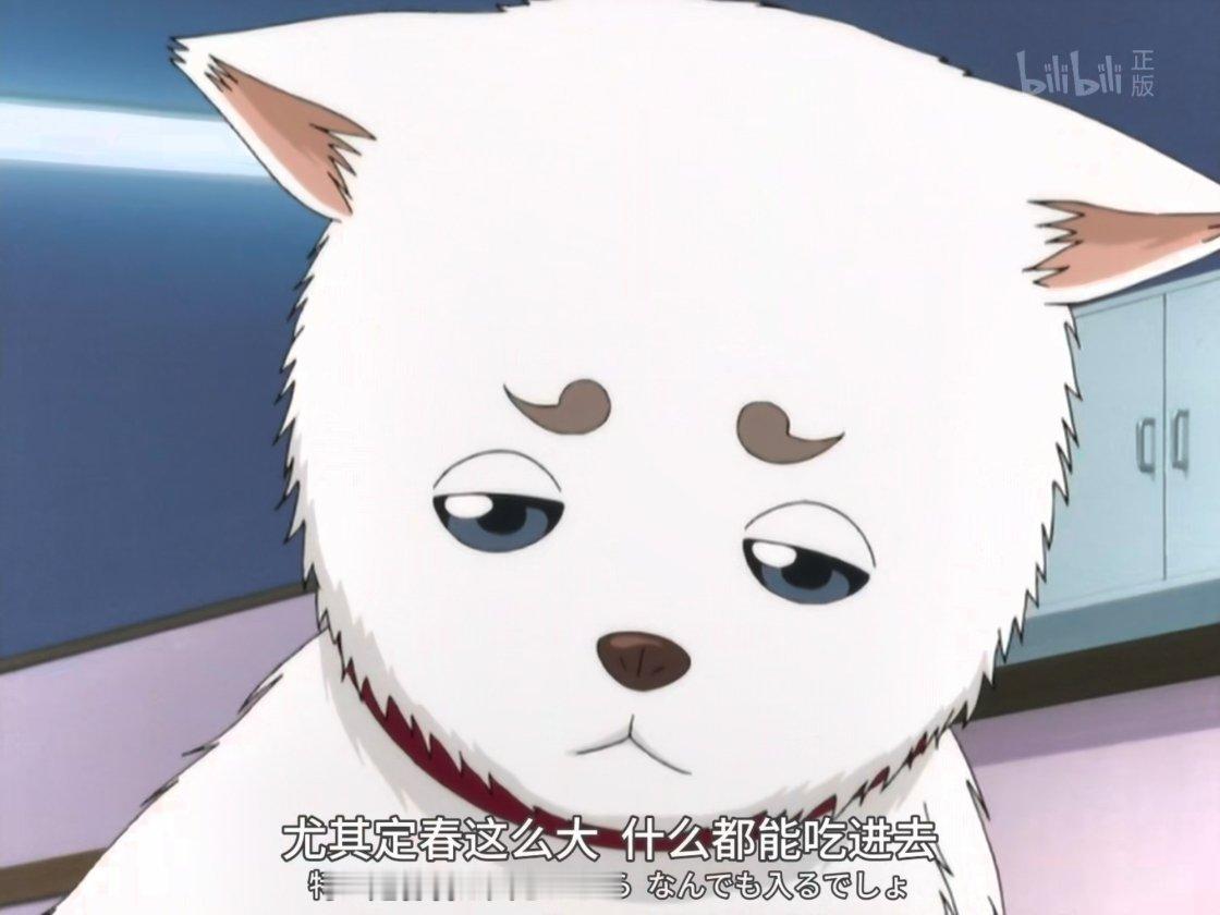 死鱼眼萨达哈鲁这个萌啊🥺🥺 ​​​
