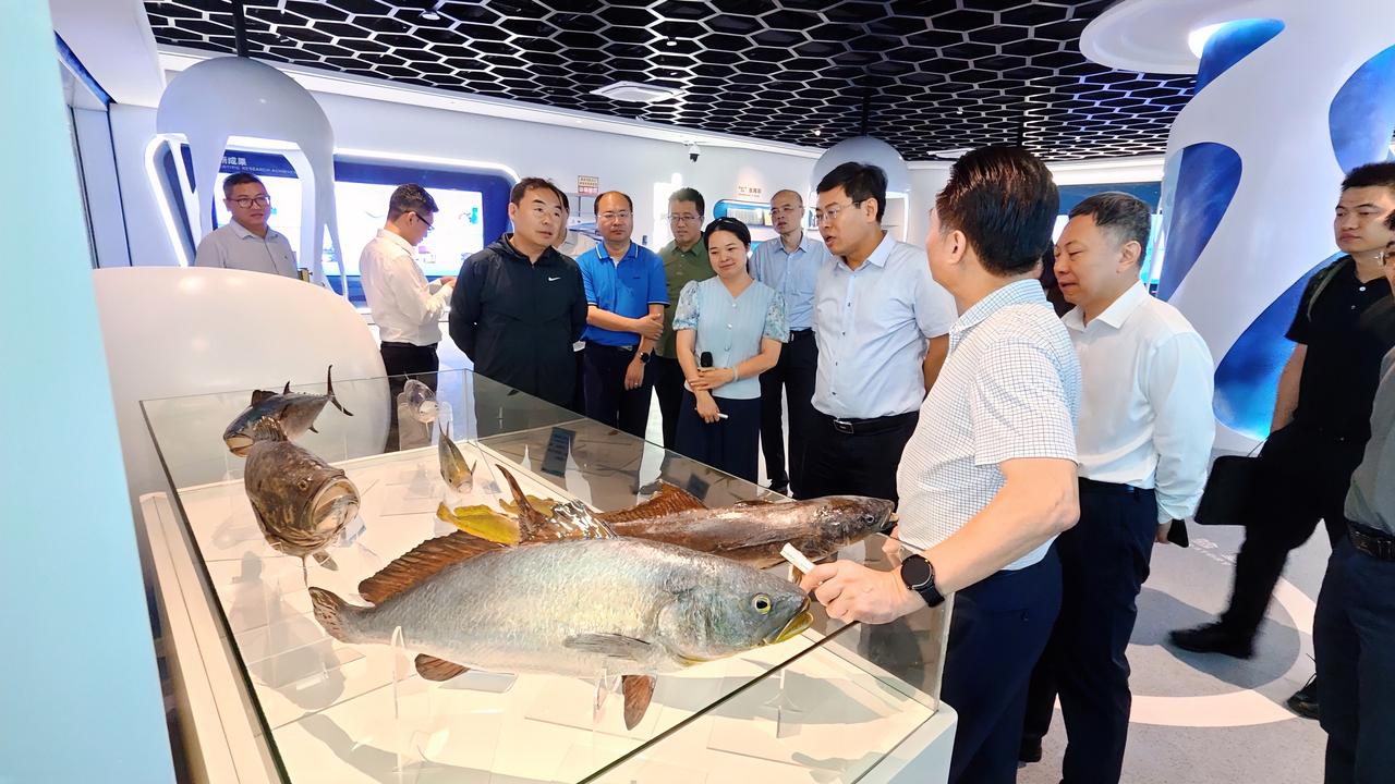 6月17日至18日，中国农发集团党委副书记、总经理张德国赴湛江调研，会见湛江市政