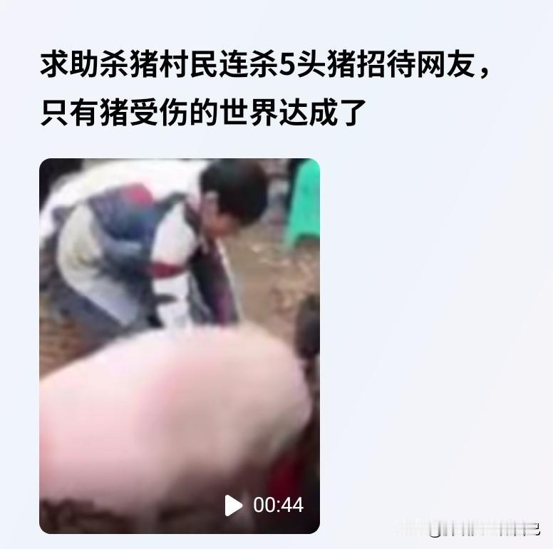 笑不活了！上千网友帮村民杀猪，结果被5头猪的流水席“喂饱”，年味直接焊在村里！
