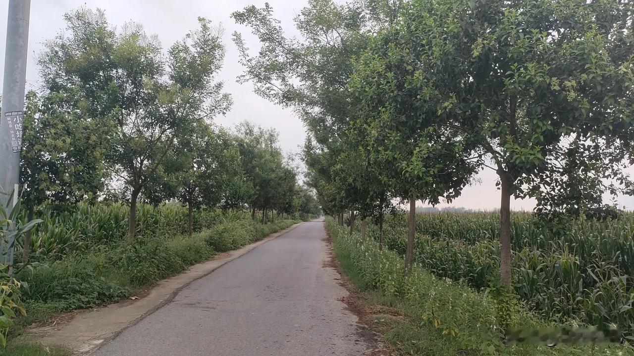 学习那么久，我最后发现德行好一切才好，然后所说所做的一切都会从本质出发，而不会犯