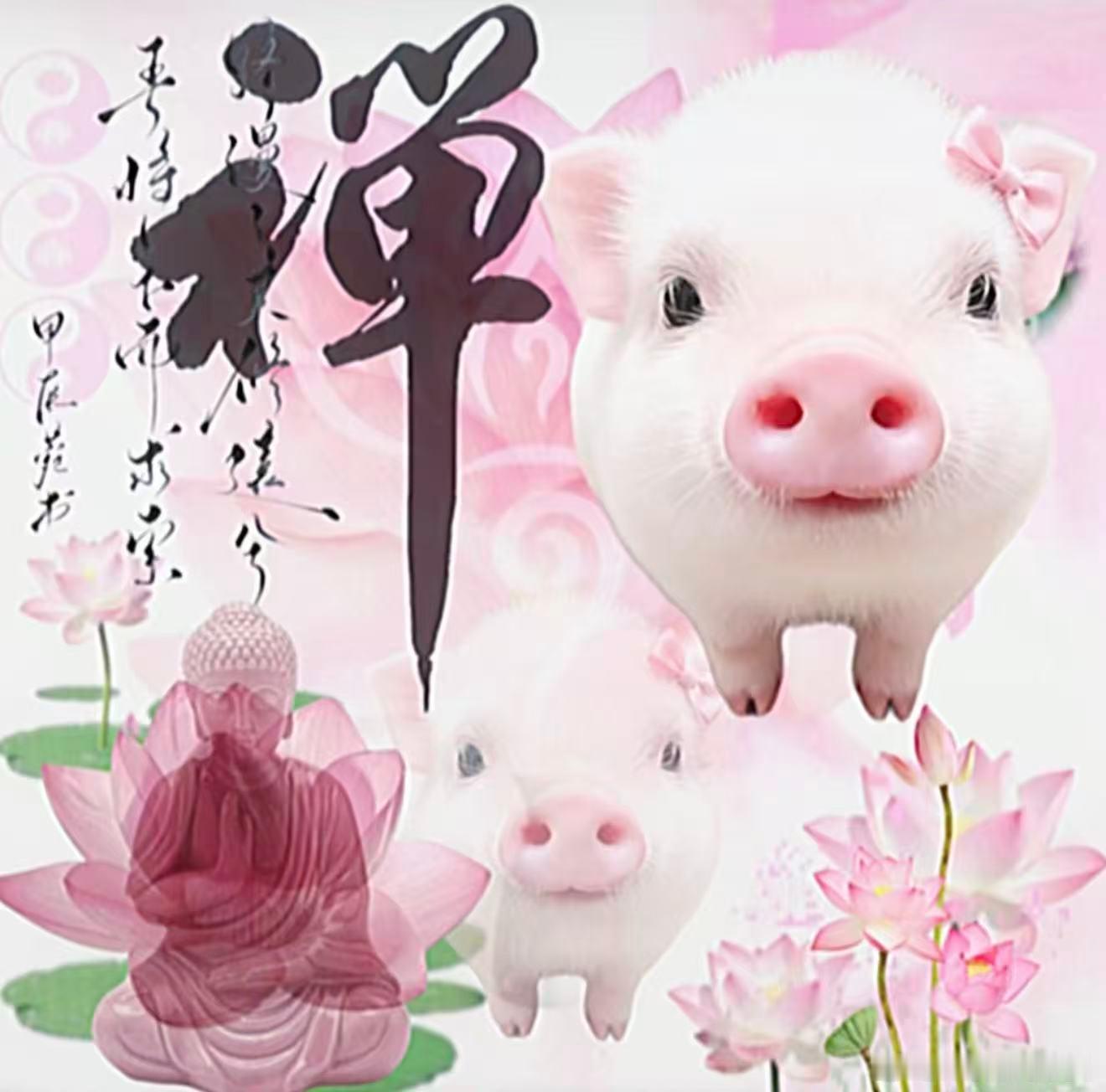 分享图片 ​​​