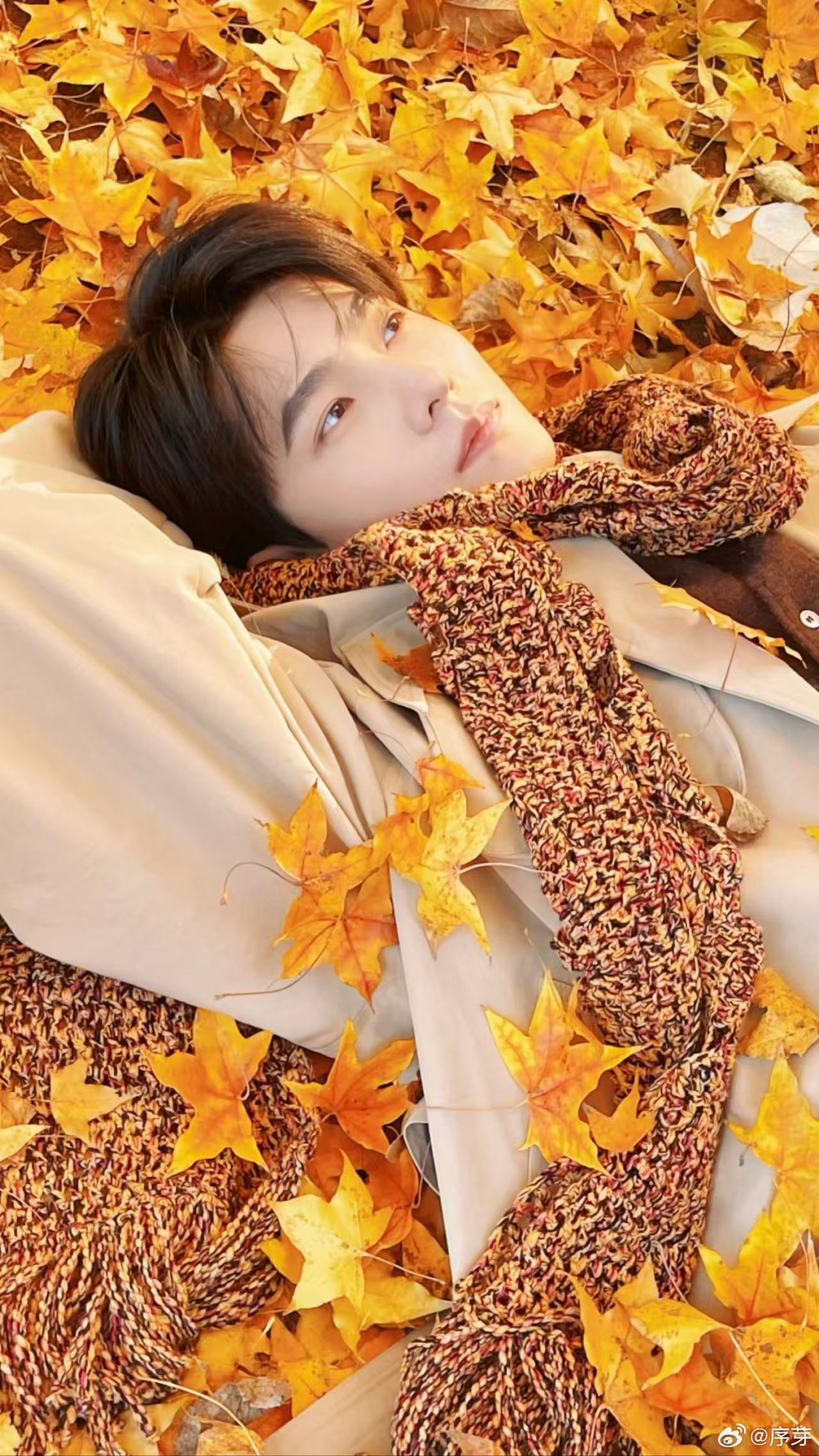 杨洋刷新了我的手机颜值 杨洋的动态壁纸简直是我的手机神器，拿起手机的瞬间就是一场